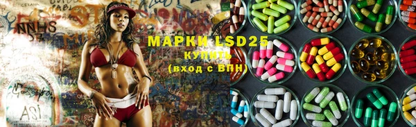 индика Ладушкин