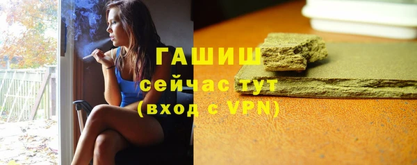 индика Ладушкин